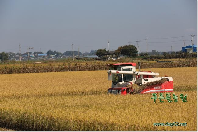 유기농쌀,유기농현미,유기농오분도미,푸른들농원